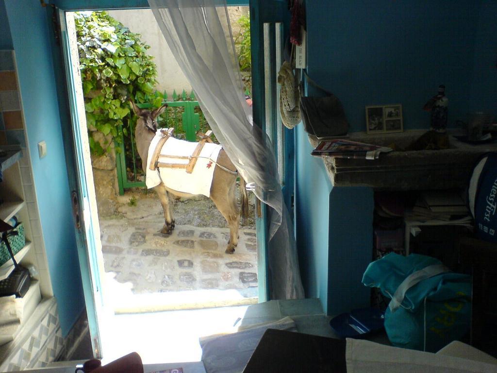 Blue Bench Krk Apartman Krk Town Szoba fotó